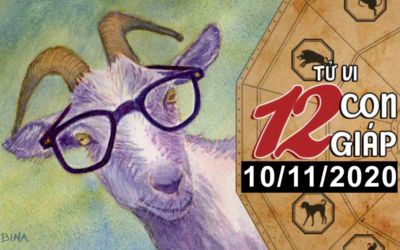 Tử vi hôm nay - Xem tử vi vui 12 con giáp ngày 10/11: Tuổi Mùi công việc thuận lợi, tuổi Tý mọi việc không suôn sẻ