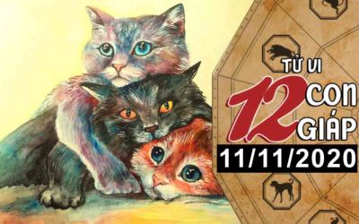 Tử vi hôm nay Xem tử vi vui 12 con giáp ngày 11 11 Tình duyên tuổi Mão vướng đào hoa tuổi Mùi tài chính tăng tu vi hom nay xem tu vi vui 12 con giap ngay 1111 tinh duyen tuoi mao vuong dao hoa tuoi mui tai chinh tang