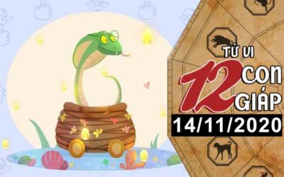Tử vi hôm nay - Xem tử vi vui 12 con giáp ngày 14/11: Tuổi Tỵ rủng rỉnh tiền bạc, tuổi Ngọ tình duyên giảm sút