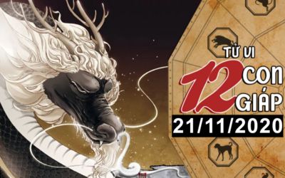 ử vi hôm nay - Xem tử vi vui 12 con giáp ngày 21/11: Tuổi Thìn được quý nhân phù trợ, tuổi Thân đề phòng mất cắp