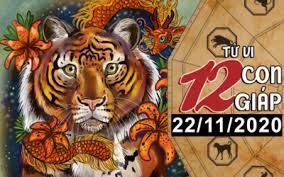 Tử vi hôm nay - Xem tử vi vui 12 con giáp ngày 22/11: Tuổi Dần có người chỉ lối, tuổi Dậu vận đào hoa ập tới