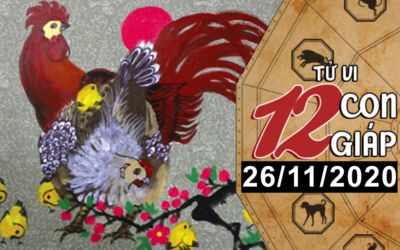Tử vi hôm nay - Xem tử vi vui 12 con giáp ngày 26/11: