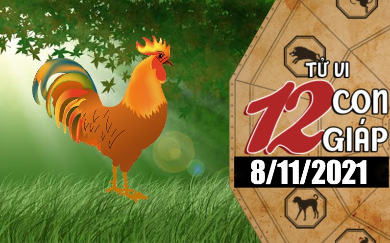 Tử vi hôm nay, xem tử vi 12 con giáp 8/11/2021: Tình duyên Tuổi Dậu ổn định Tử vi hôm nay, xem tử vi 12 con giáp 8/11/2021: Tình duyên Tuổi Dậu ổn định