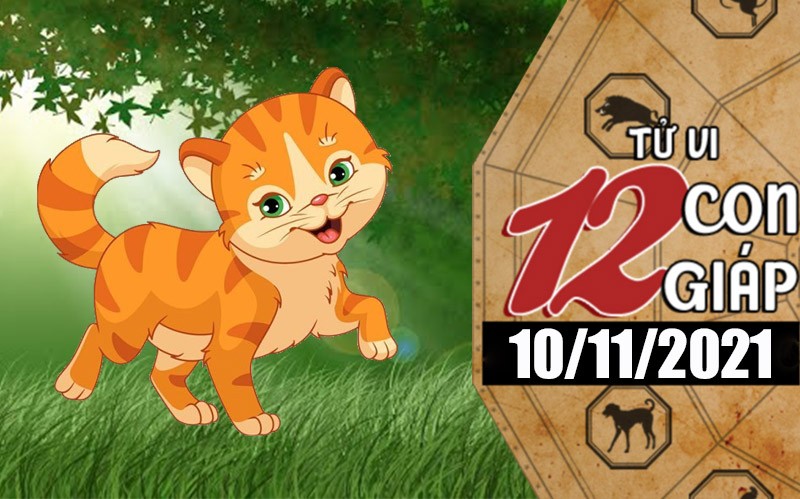 Tử vi hôm nay, xem tử vi 12 con giáp 10/11/2021: Tuổi Mão có