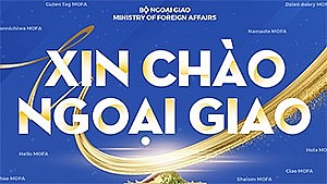 Xin chào Ngoại giao