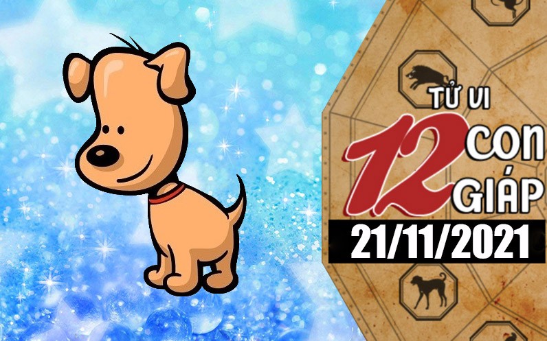 Tử vi hôm nay, xem tử vi 12 con giáp ngày 21/11/2021: Tuổi Tuất học hỏi nâng cao kiến thức