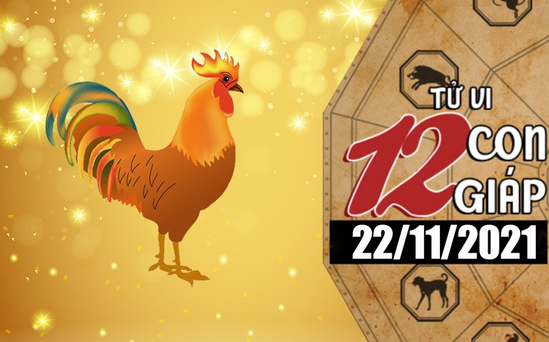 Tử vi hôm nay, xem tử vi 12 con giáp 22/11/2021: Gia đình giúp đỡ tuổi Dậu rất nhiều