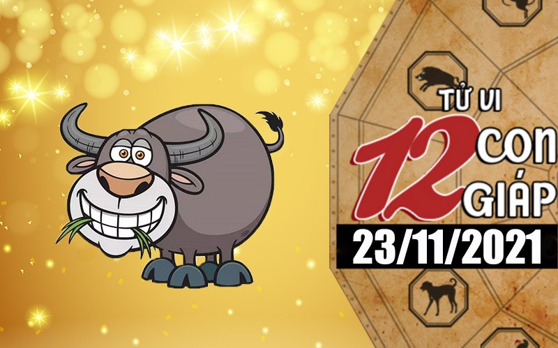 Tử vi hôm nay, xem tử vi 12 con giáp ngày 23/11/2021: Tình duyên tuổi Sửu không thuận lợi