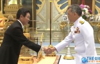 Đại sứ Việt Nam tại Thái Lan trình Quốc thư lên Nhà Vua