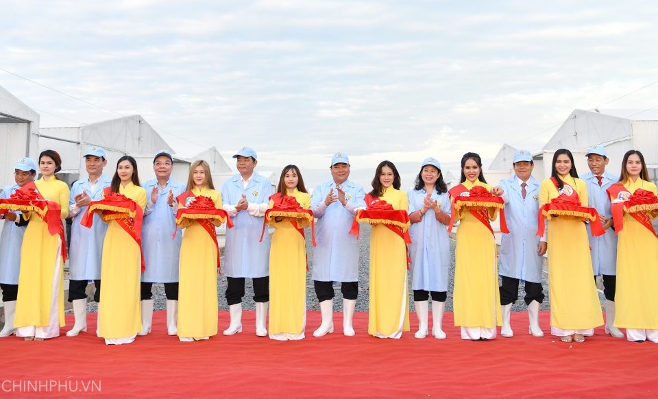thu tuong nguyen xuan phuc du khanh thanh khu san xuat ca tra giong tren song tien