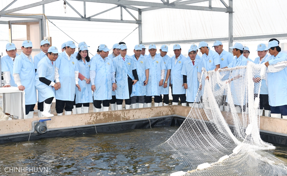 thu tuong nguyen xuan phuc du khanh thanh khu san xuat ca tra giong tren song tien