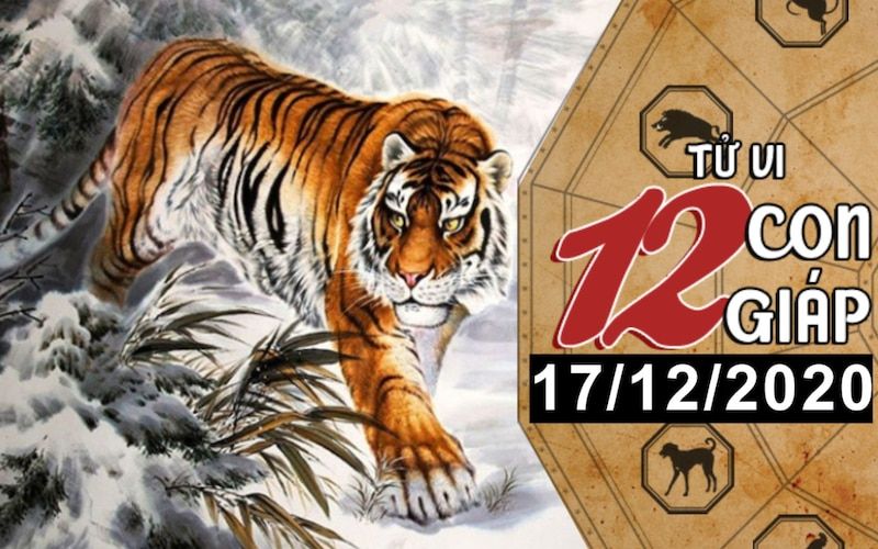 Today's Horoscope - See the Funny 12 Zodiac Horoscopes on December 17 - The Year of the Rat is Blooming, the Year of the Tiger Race is High