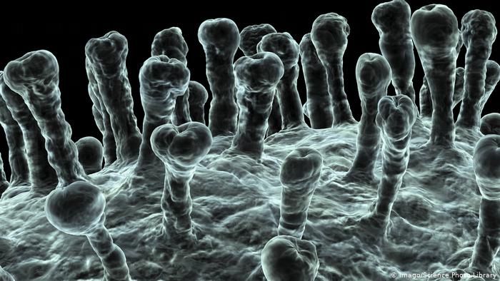 trung quoc va nga dang phat trien vaccine phong ngua virus corona