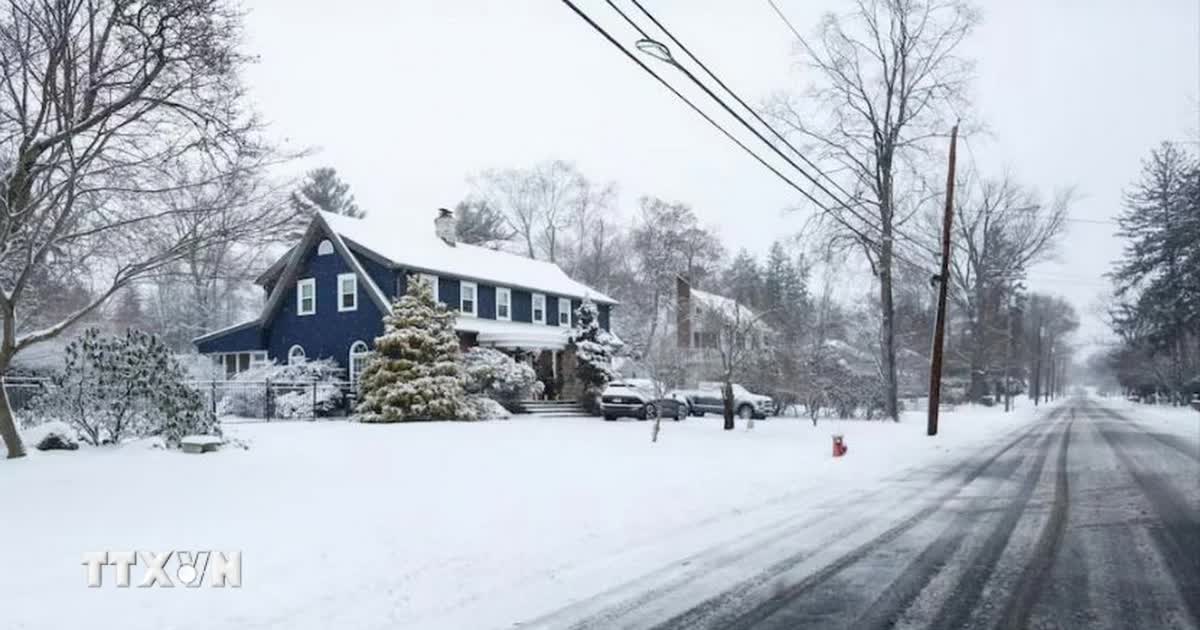 Mỹ: Bão tuyết lớn càn quét khiến hơn 8.000 chuyến bay bị hủy