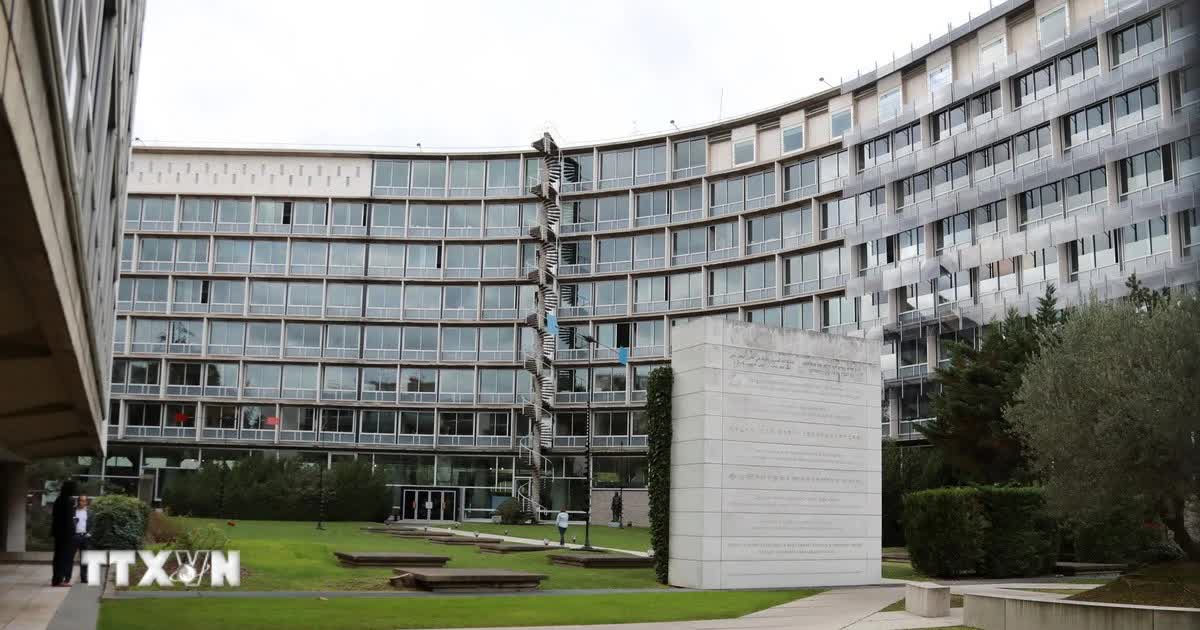 UNESCO hỗ trợ khẩn cấp Việt Nam bảo vệ di sản văn hóa sau thiên tai