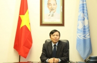 Đại sứ Đặng Đình Quý: Việt Nam hoàn thành tốt nhiệm vụ trong tháng 'rất nhiều việc phát sinh'