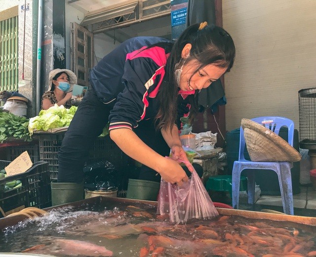 Chị Nguyễn Thị Lan đã có 4 năm bán cá tại chở Phạm Văn Hai cho biết năm nay cá chép đỏ cúng ông táo bán rất chậm.