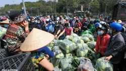 Dịch Covid-19: Hà Nội chung tay 'giải cứu' hàng chục nghìn tấn nông sản vùng dịch