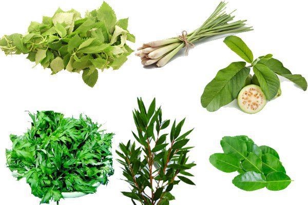 Các loại thảo dược thường dùng để xông hơi.