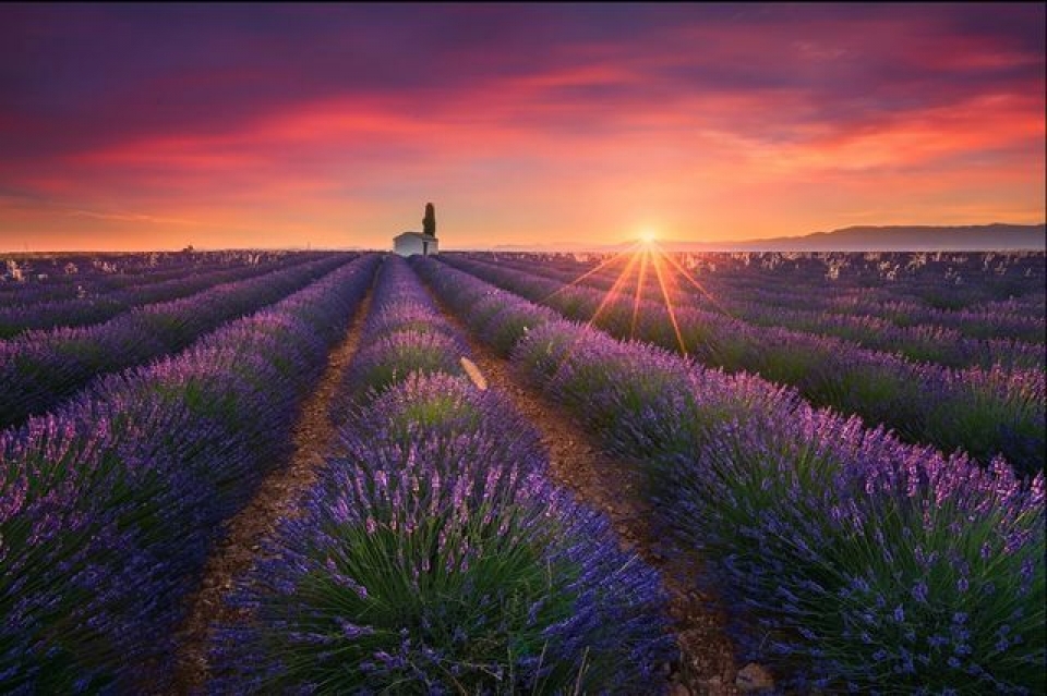 Những bức ảnh chụp đẹp như... ảnh giả nhiep anh gia chup anh sieu dep den muc nguoi xem tuong lam la anh gia