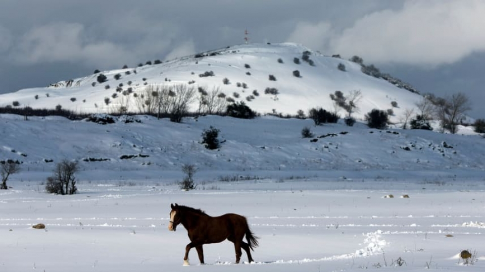 Nghị sỹ Nga: Lập trường của Mỹ về Crimea và Golan “rất mâu thuẫn”
