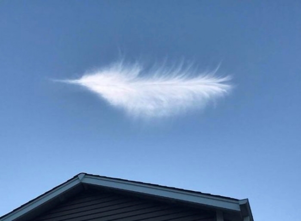 doc dao loat anh de gay hieu lam