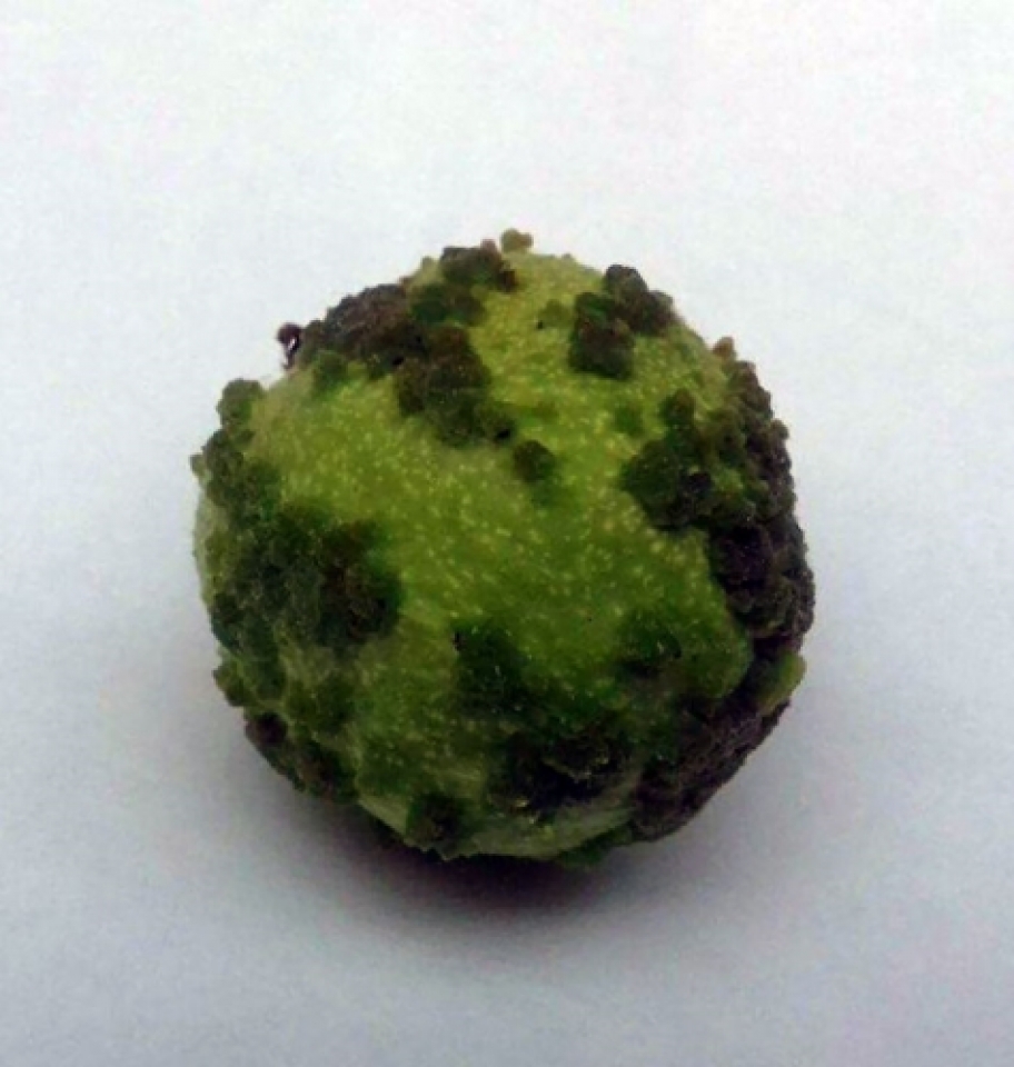 doc dao loat anh de gay hieu lam