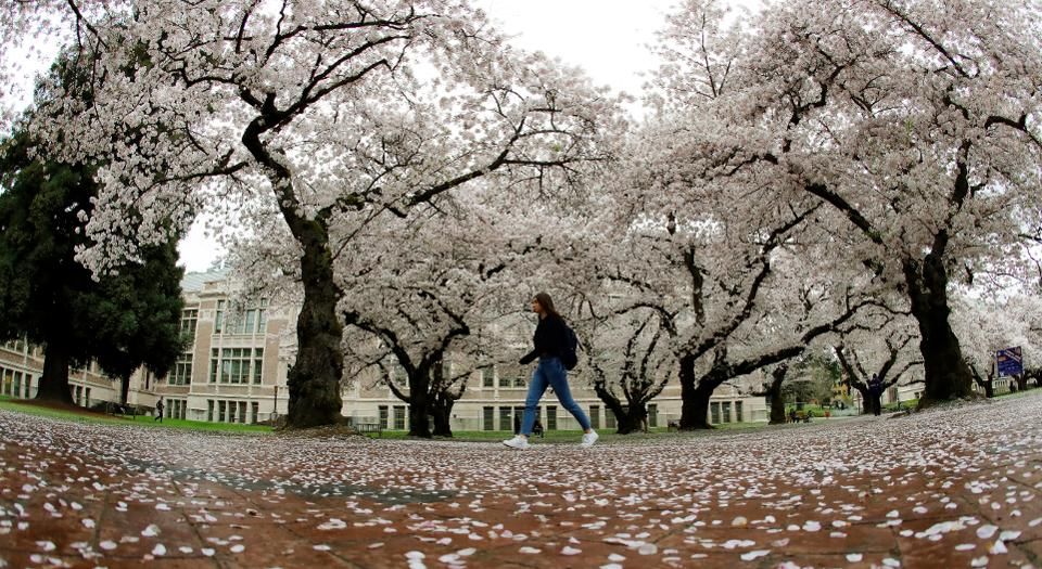 Đại học Mỹ dừng các lớp học trực tiếp sau khi giảng viên nhiễm Covid-19 dai hoc my dung cac lop hoc truc tiep sau khi giang vien nhiem covid 19