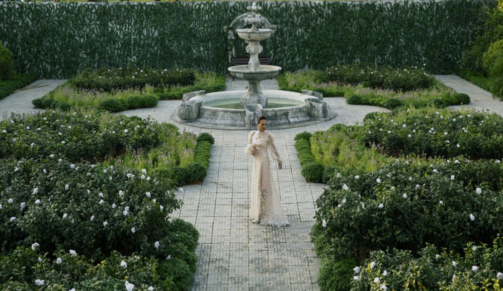 Vườn Bạch Trà làm sao có thể nở hoa màu đỏ?