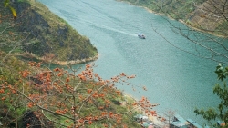 Du lịch Hà Giang: Vẻ thơ mộng của sông Nho Quế mùa hoa gạo