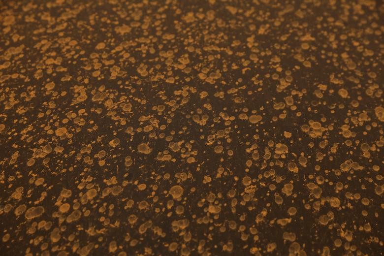 Châu Âu bị 'tấn công' bởi bão bụi bất thường từ sa mạc Sahara