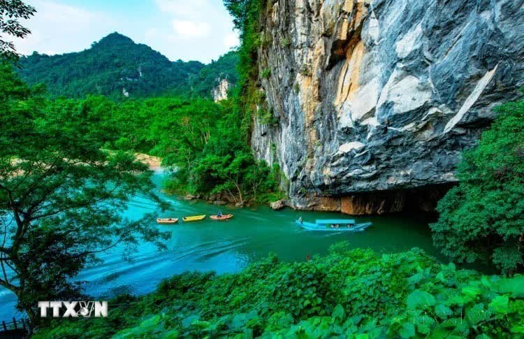 Phong Nha-Kẻ Bàng: Kho báu sinh học chưa được khám phá giữa đại ngàn Trường Sơn Phong Nha-Kẻ Bàng: Kho báu sinh học chưa được khám phá giữa đại ngàn Trường Sơn