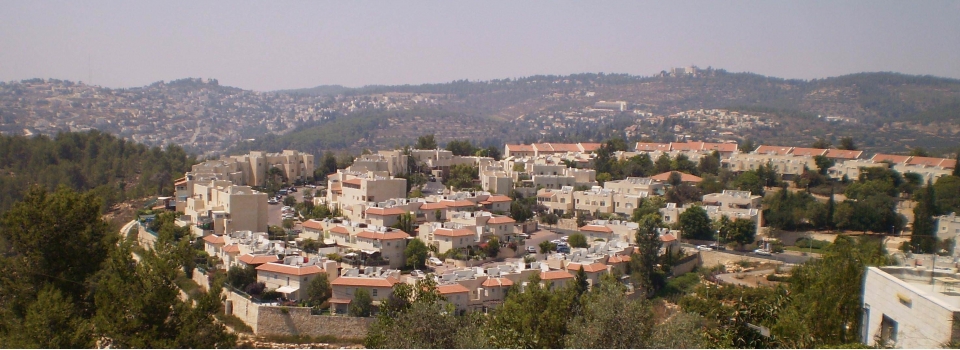 van de xung dot voi palestine bi lang quen trong chien dich tranh cu israel