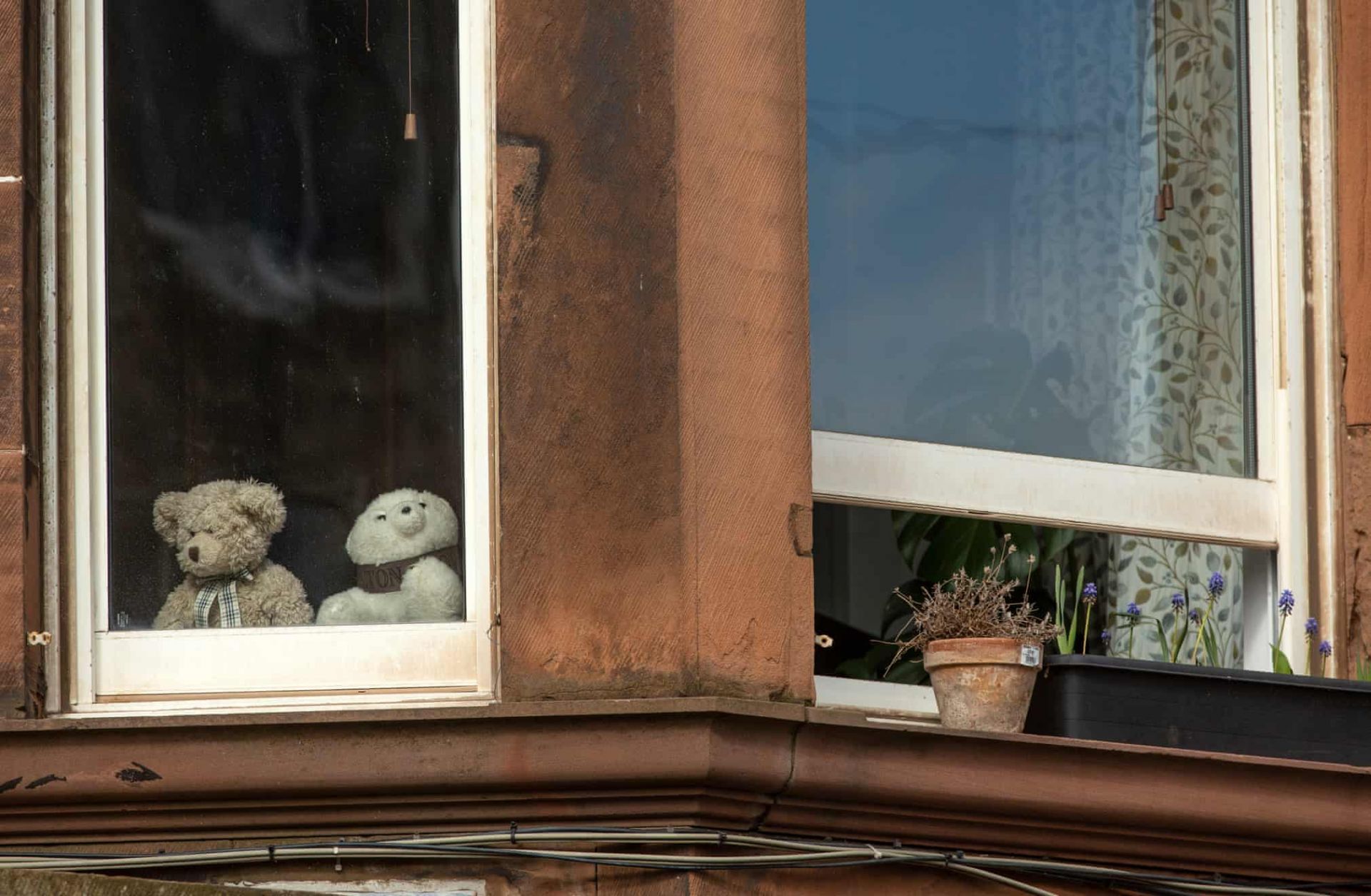 dich covid 19 hinh anh cua hy vong tren cac o cua o edinburgh anh