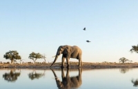 infographics viet nam lot top diem den hang dau sau dich covid 19