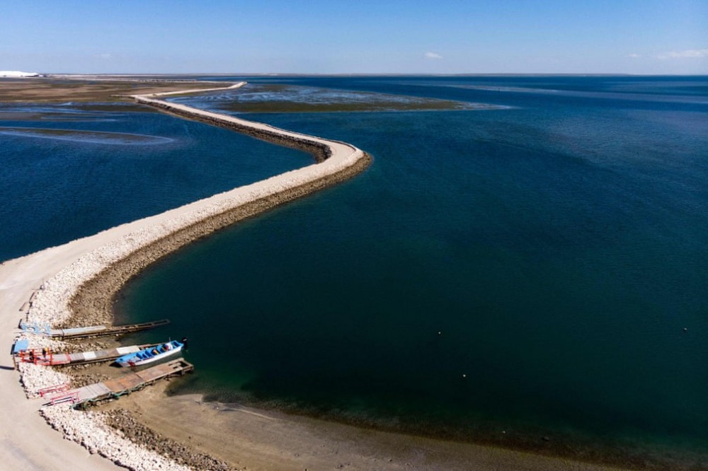 Du lịch Mexico để được dạo chơi cùng cá voi xám