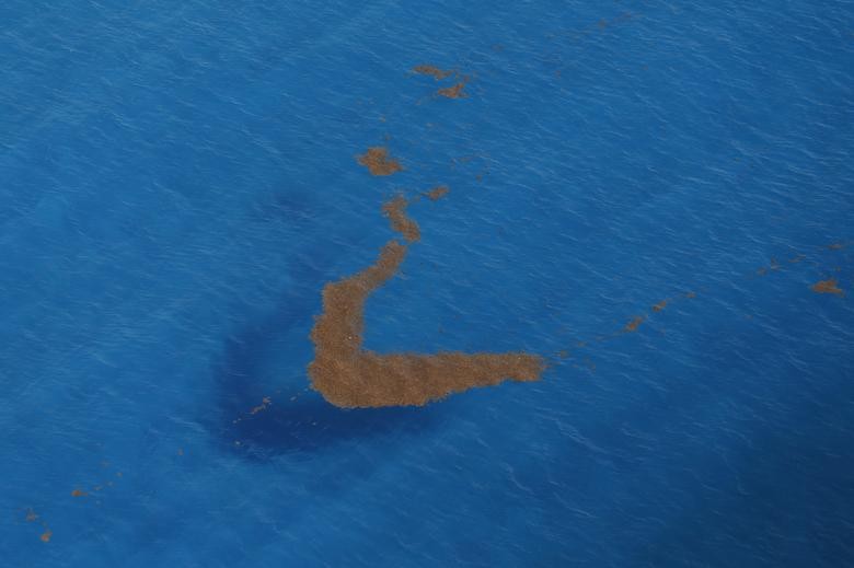 Những khung cảnh ngoạn mục trên hành tinh xanh, nơi đang chịu tác động tiêu cực từ biến đổi khí hậu