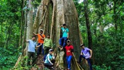 Đồng Nai phát triển du lịch sinh thái gắn với bảo tồn rừng