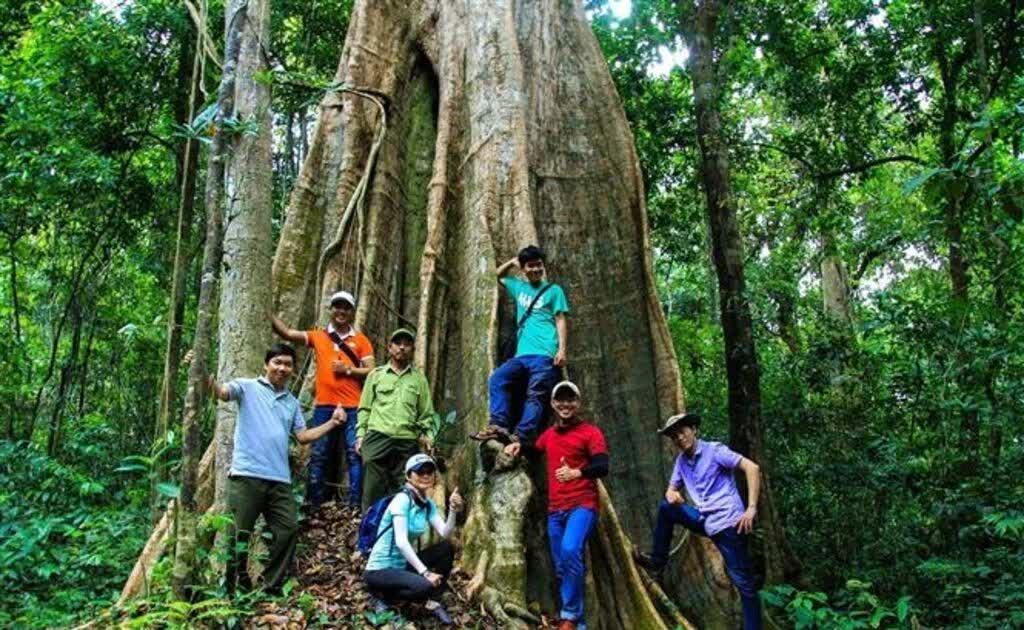 Đồng Nai phát triển du lịch sinh thái gắn với bảo tồn rừng