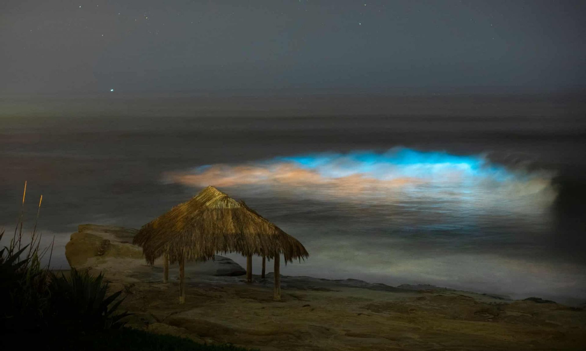 hinh anh song phat quang tren bo bien o my