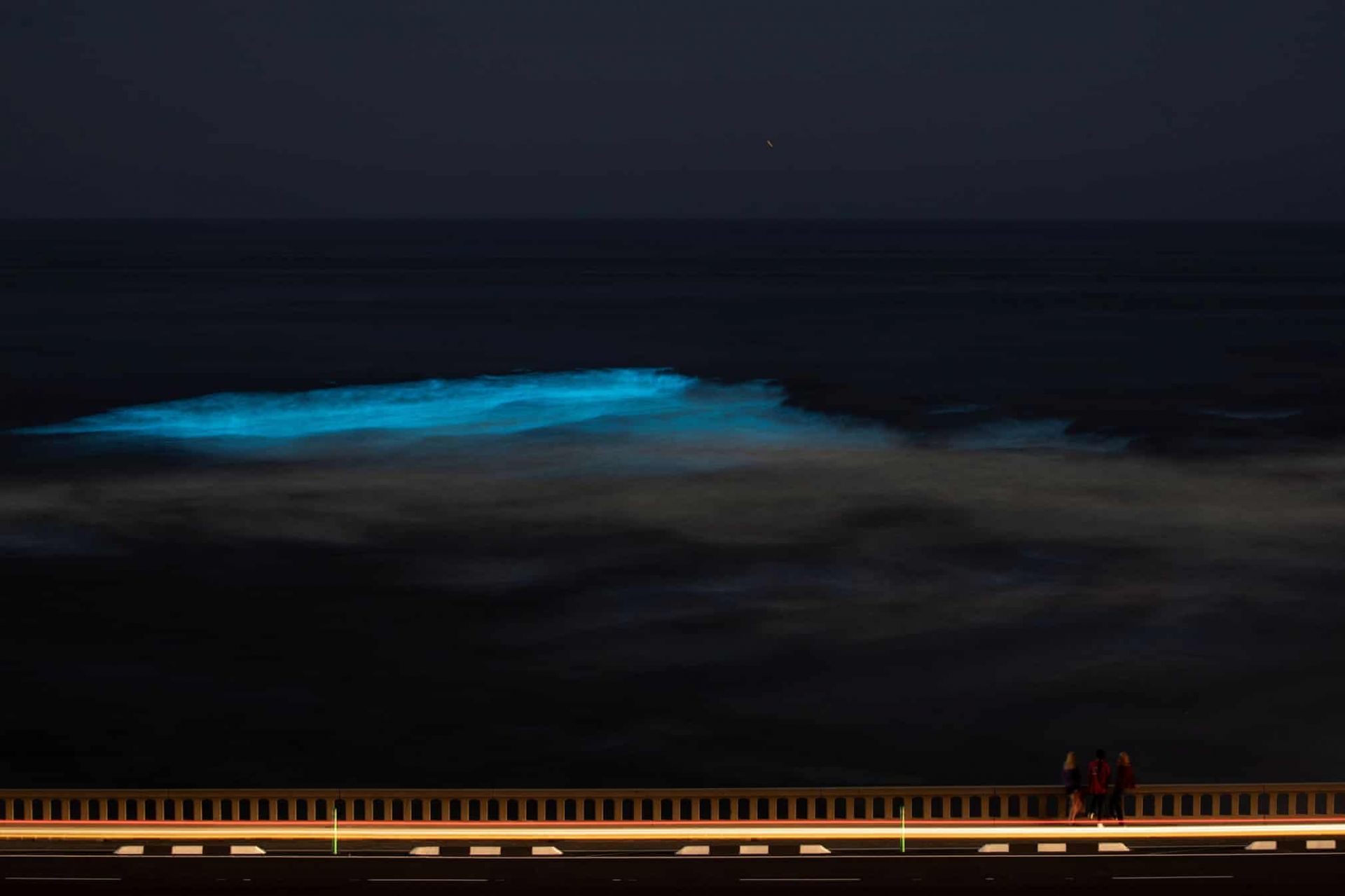 hinh anh song phat quang tren bo bien o my