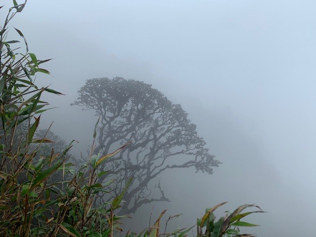 Nhật ký hành trình chinh phục mốc 79, cột mốc biên giới cao nhất Việt Nam
