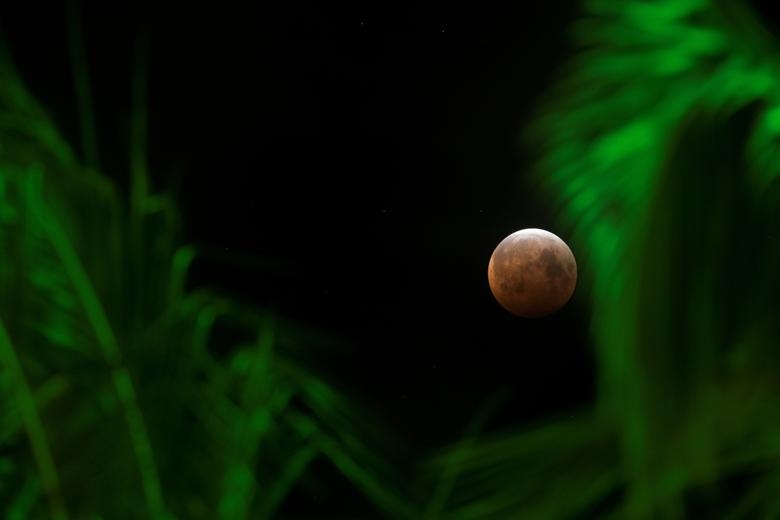 Cảnh tượng ngoạn mục, hiếm gặp của 'siêu trăng máu' trên khắp thế giới
