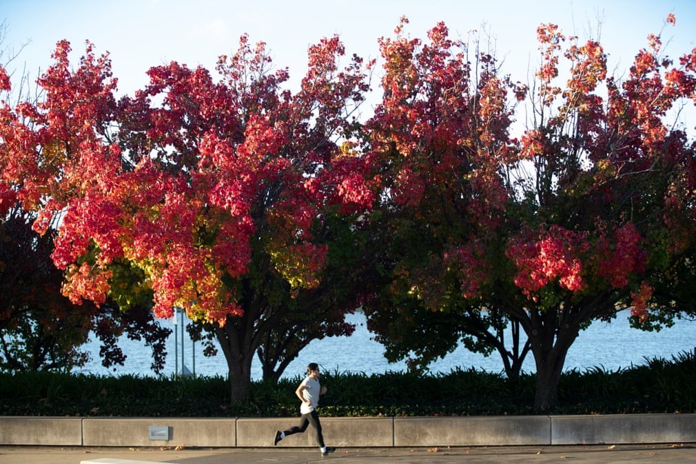 Hình ảnh thủ đô Canberra được 'nhuộm màu' trong sắc Thu trữ tình