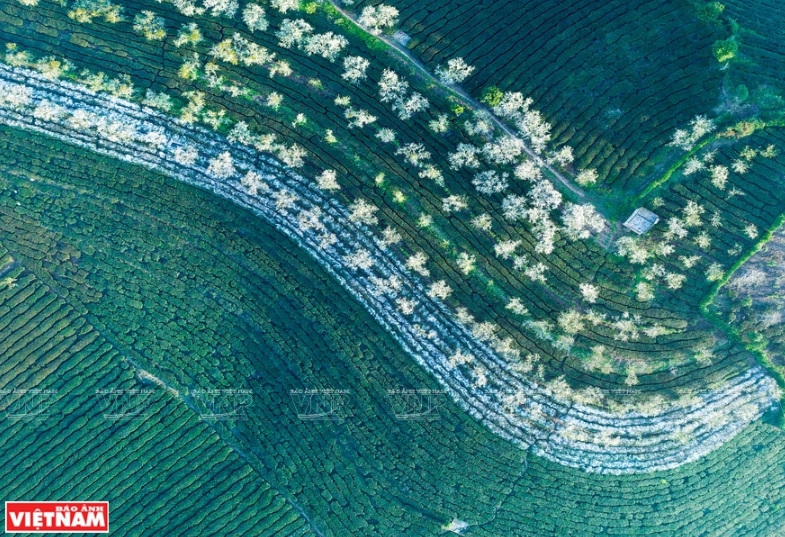 phong ca nh viet nam nhung buc hinh tuyet dep nhin tu tren cao