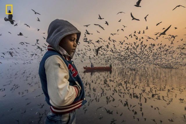 nhung bu c hi nh doa t gia i cuoc thi anh du lich 2019 cu a national geographic