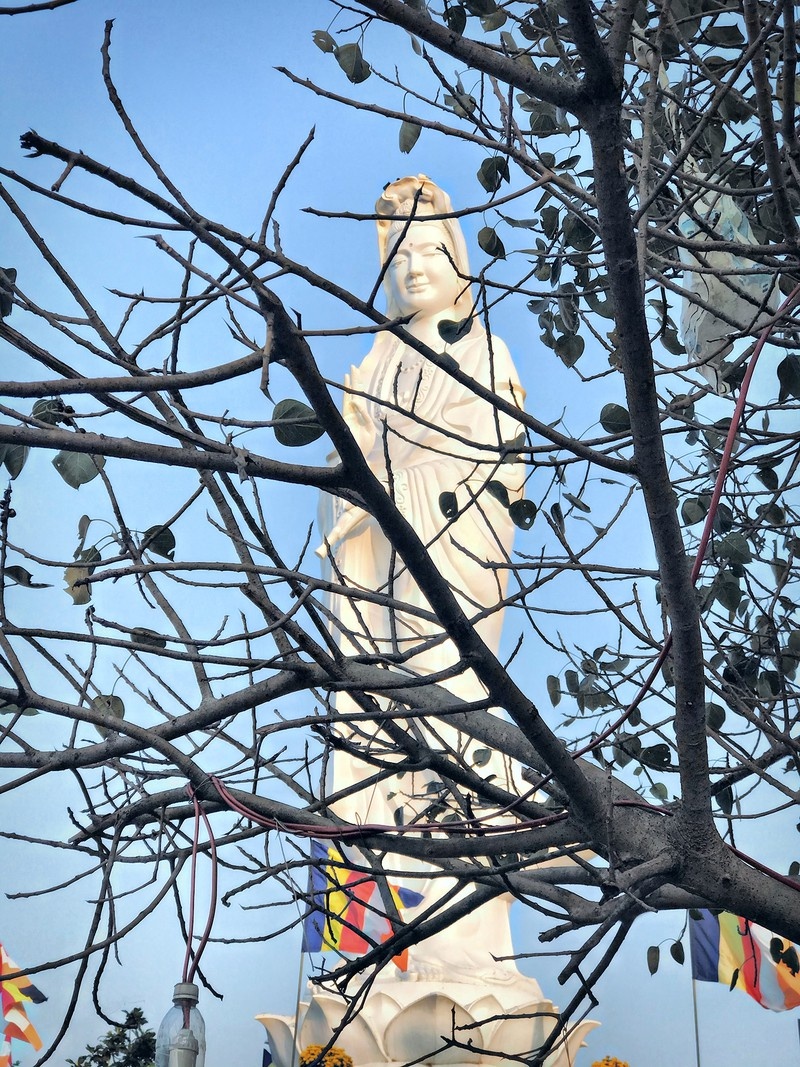 Du lịch hậu Covid-19: Ngắm vẻ cổ kính pha nét hiện đại của xứ Huế mộng mơ