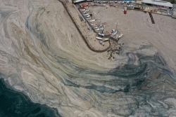Hình ảnh 'thảm họa' chất nhầy bùng phát tại bờ biển Thổ Nhĩ Kỳ