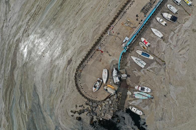 Hình ảnh 'thảm họa' chất nhầy bùng phát tại bờ biển Thổ Nhĩ Kỳ