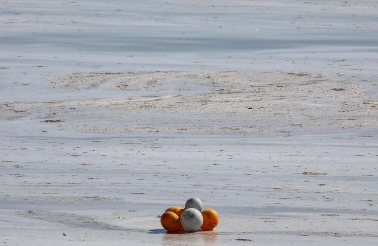 Hình ảnh 'thảm họa' chất nhầy bùng phát tại bờ biển Thổ Nhĩ Kỳ